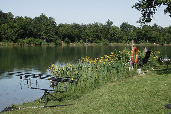 Camping Avec Etang De Peche Multi Especes Campilo
