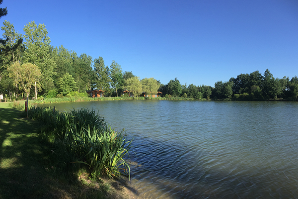 Presentation Camping La Roche Sur Yon Nature Campilo