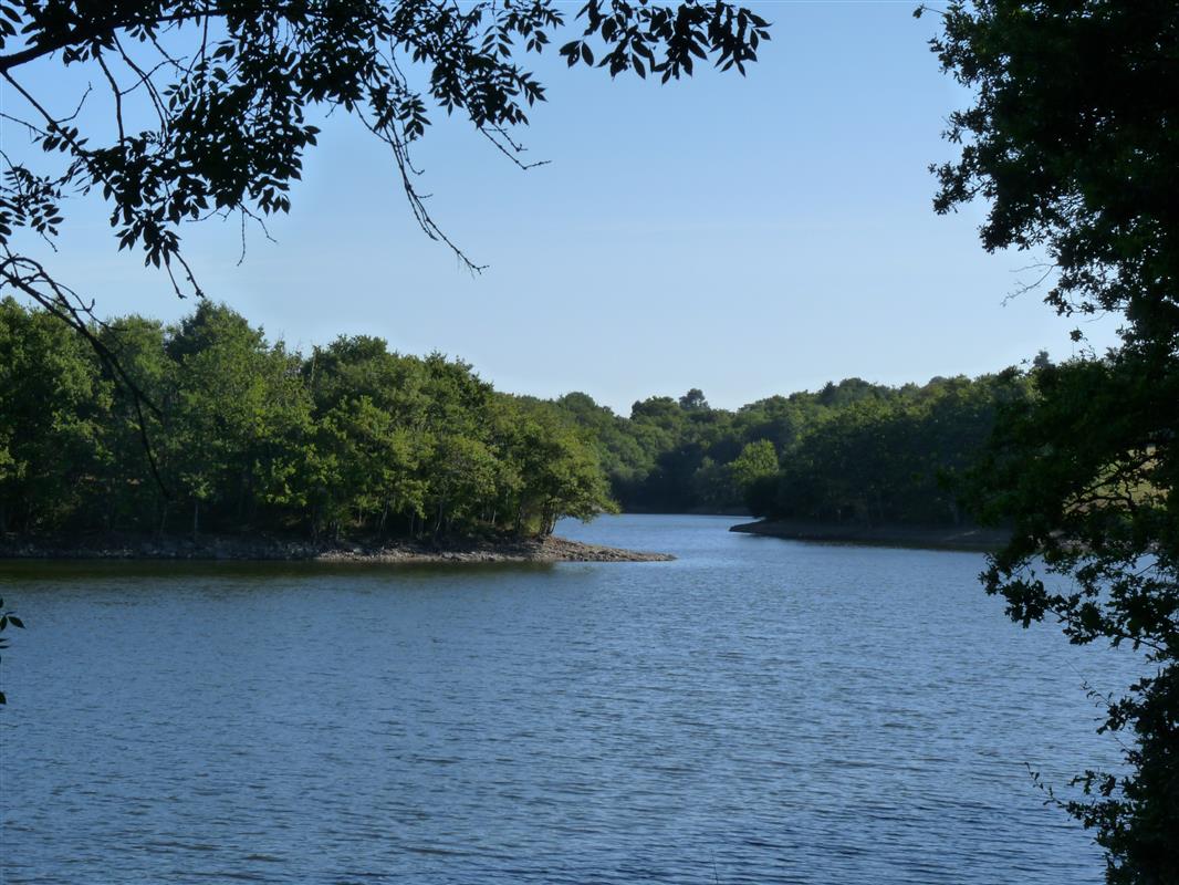 Graon Peche Balade En Vendee Campilo