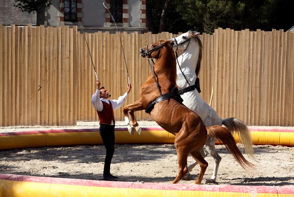 Haras Vendee Balade En Vendee Campilo