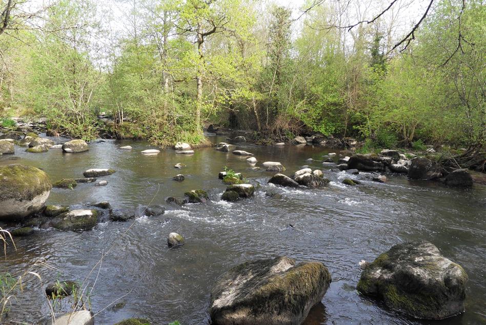 L Aubonniere Peche Balade En Vendee Campilo