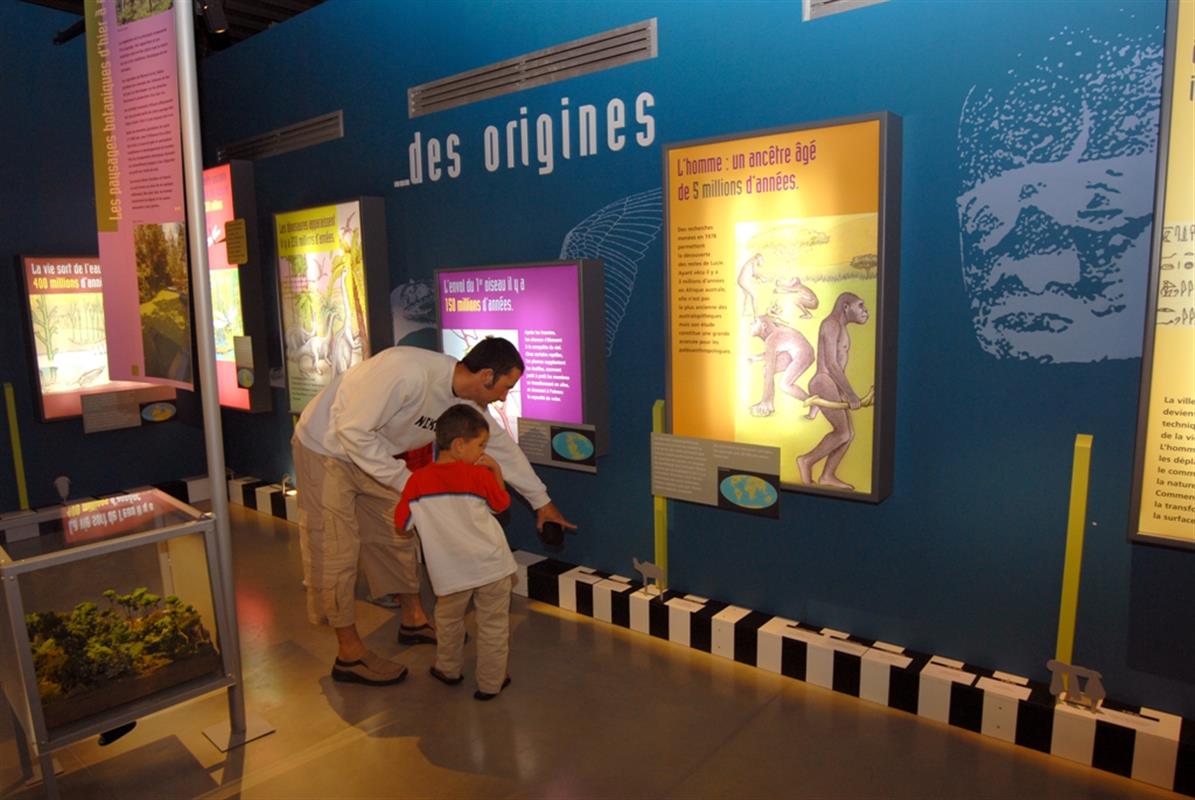 Musee Des Libellules Visiter La Vendee Campilo