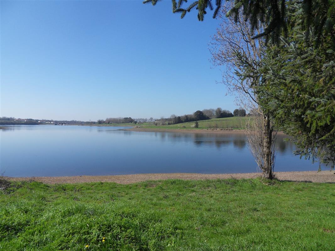 Sorin Finfarine Peche Balade En Vendee Campilo