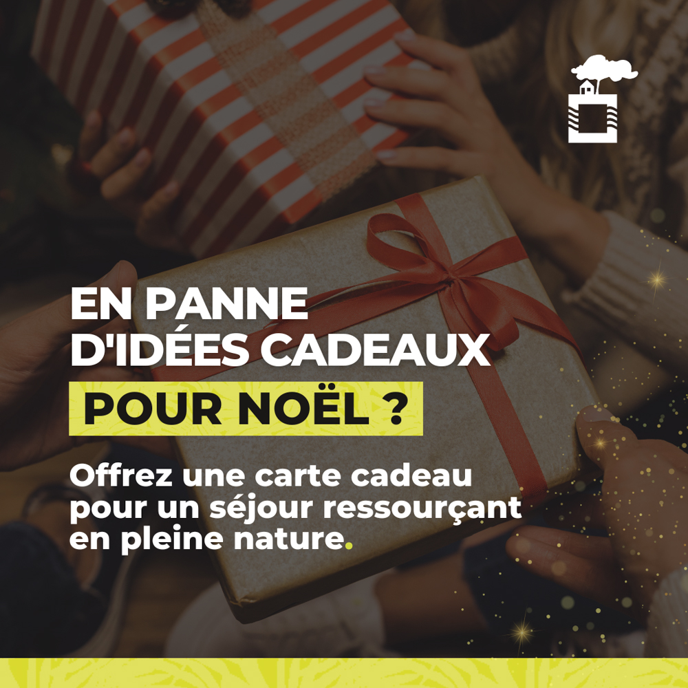 En panne d'idées cadeaux pour Noël ? Offrez une carte cadeau Campilo