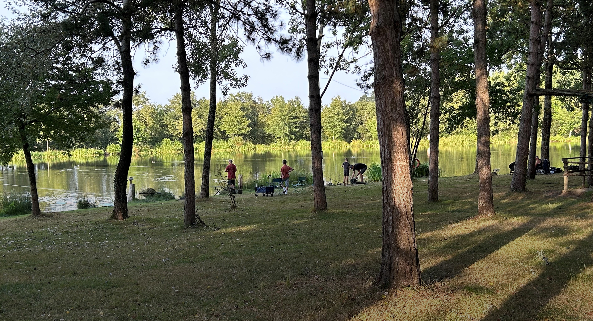 foret-camping-campilo