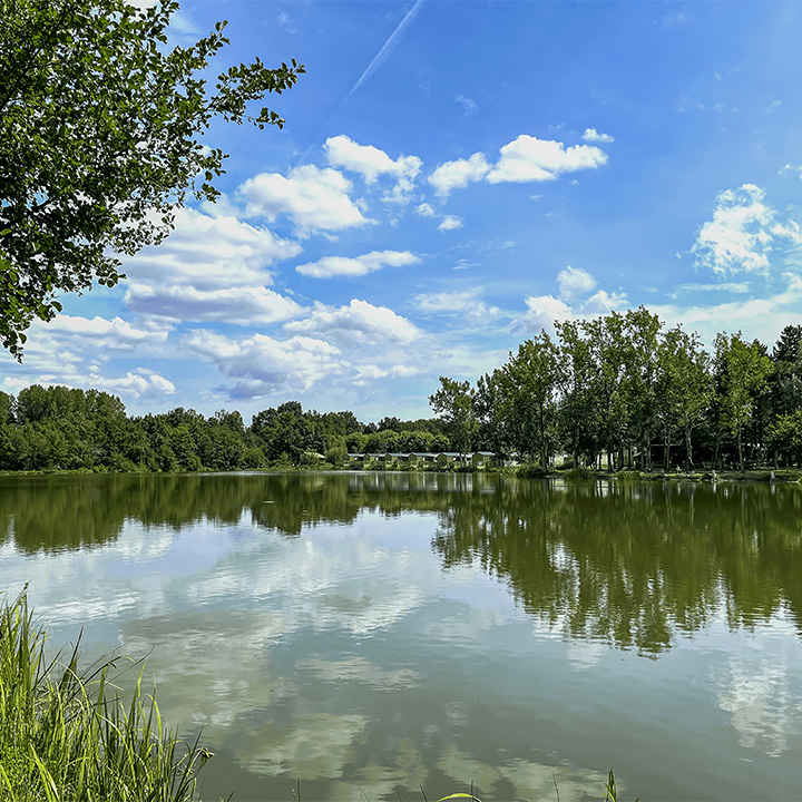 camping with fishing ponds near la roche sur yon