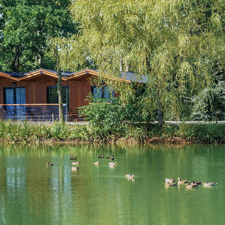 certification ecolabel campilo camping nature