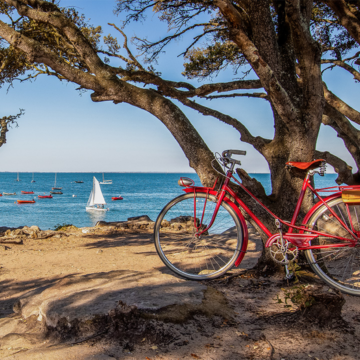 sorties cles en main